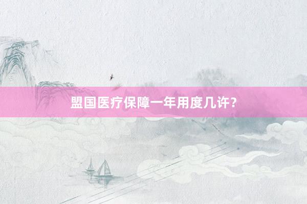 盟国医疗保障一年用度几许？